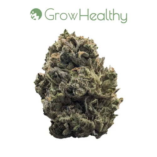 Durban Dawg Flower from  product image