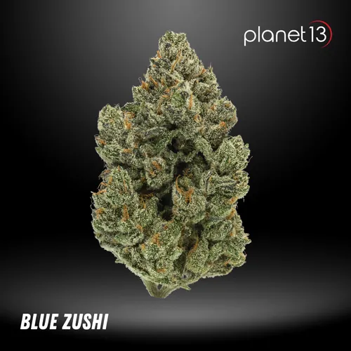 Blue Zushi 3.5g Pouch Tier 1 by Planet 13 - 3.500g Whole