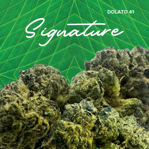 Dolato 41 Signature - 3.5g by Sanctuary Signature - 3.500g Whole