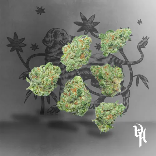 Fallen Jedi Og - 
