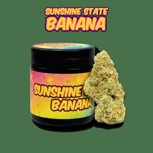 Sunshine State Flower - Paradise Punch