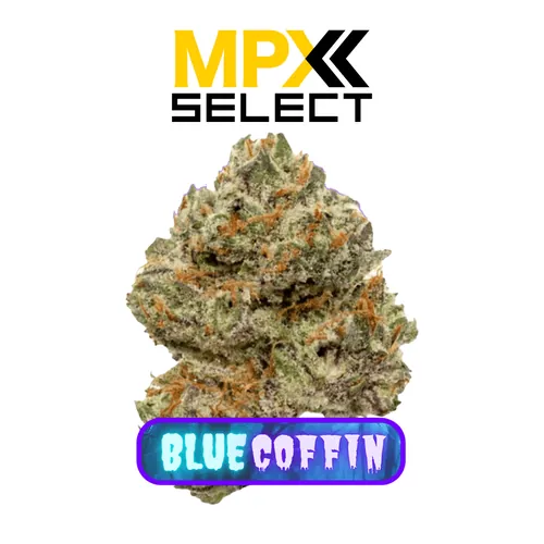 MPX Select Blue Coffin Flower by MPX Select Flower - 3.500g Whole