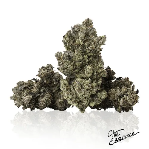 Candy Pavé -  cannabis product