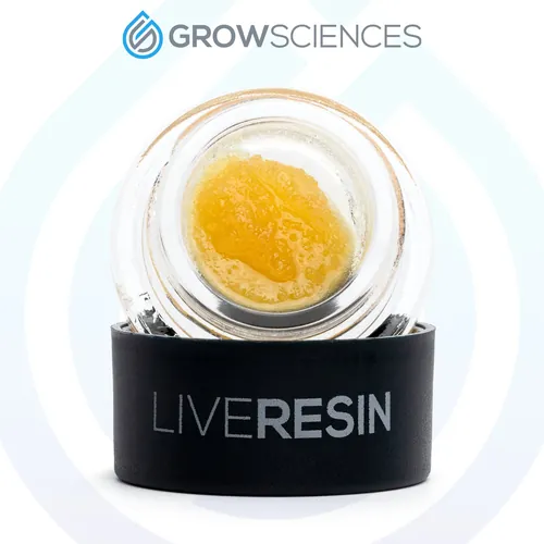 Lemon Cherry Live Resin Terp Sugar by Grow Sciences - 1.000g Live Resin