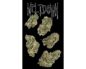 Meltdown 7g Juniors - 
