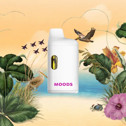 Gulf Coast Sunset AIO from  product image