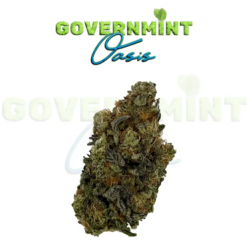 image of Governmint Oasis Tier 3