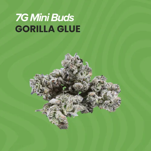 Gorilla Glue   Mini Buds - 