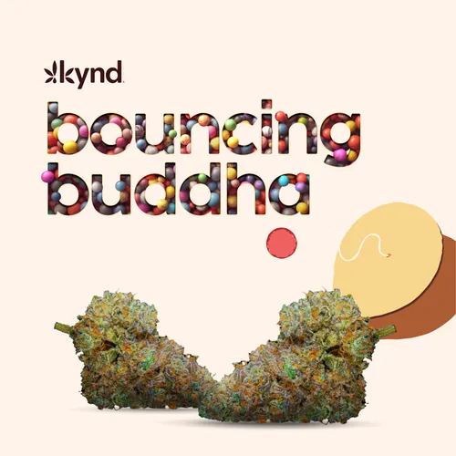 Bouncing Buddha Flower from  product image