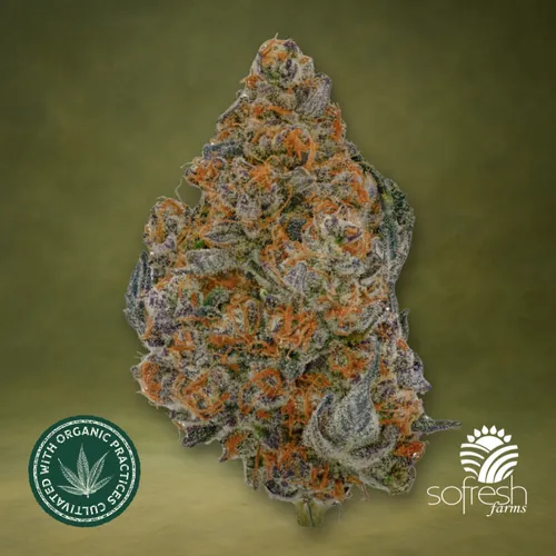 GMO from  product image