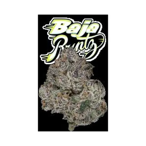 image of Baja Runtz Eighth