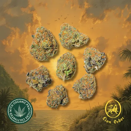 Lion Fuel by Lion Order - 3.500g Smalls