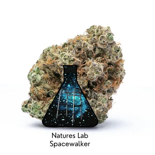 Spacewalker from  product image