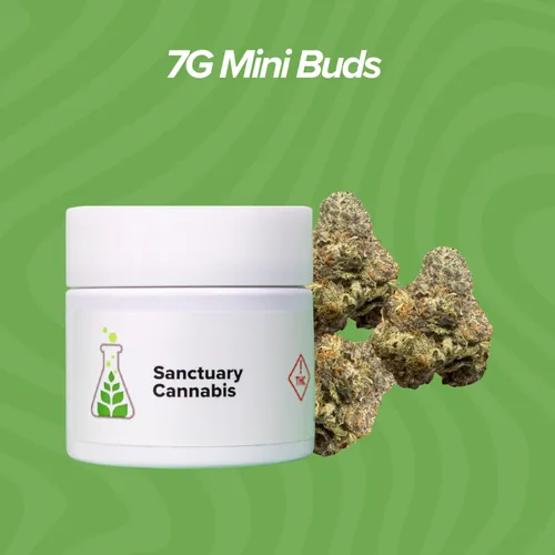 Polyjuice Potion #4 Mini Buds - 7g from  product image