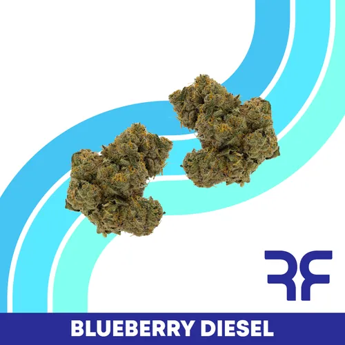 {'strain': 'Blueberry Diesel', 'strain_type': 'Sativa', 'company': 'Curaleaf', 'brand': 'Reef', 'price': Decimal('24.00'), 'regular_price': Decimal('40.00'), 'thc': Decimal('30.87'), 'cbd': Decimal('0.10'), 'terps': Decimal('0.00'), 'grams': Decimal('3.500'), 'dollars_per_thcg': Decimal('22.210'), 'dollars_per_g': Decimal('6.860'), 'product_format': 'Flower', 'product_sub_format': 'Smalls', 'dispensary_cities': ['Fort Pierce'], 'main_url': 'https://curaleaf.com/shop/florida/curaleaf-dispensary-fort-pierce/menu//menu/flower-1522/sativa-blueberry-diesel-popcorn-blueberry-diesel-3.5g-19524', 'display_image_url': 'https://thchunter-images.s3.us-east-2.amazonaws.com/product_images/be4a486d-0936-4591-9f16-858c12f2d26b.webp', 'id': 13518581, 'company_logo_file': 'curaleaf.jpg', 'company__premium_company': False, 'company__name': 'Curaleaf'}