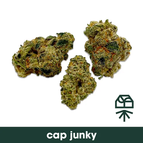 Cap Junky