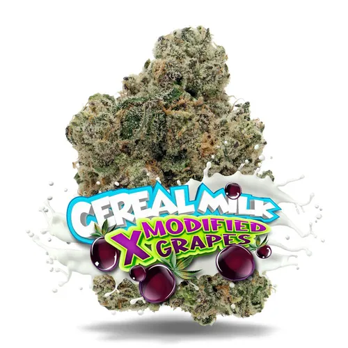 Cereal Milk x Modified Grapes #4 - Premium by Jungle Boys - 3.500g Whole
