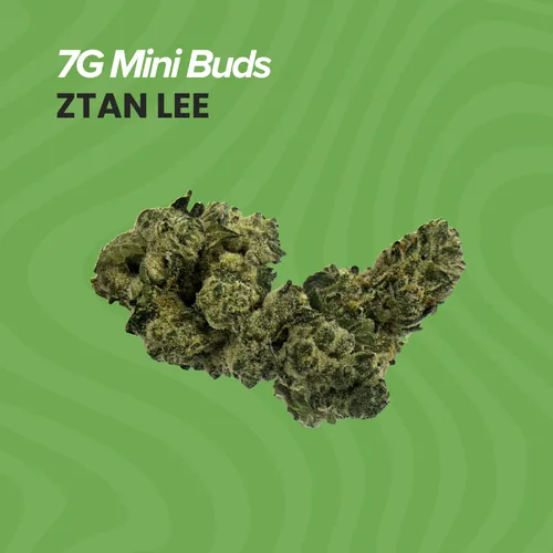 image of 7g - Mini Buds - Ztan Lee