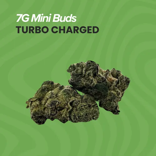 Mini Buds Turbo Charged - 