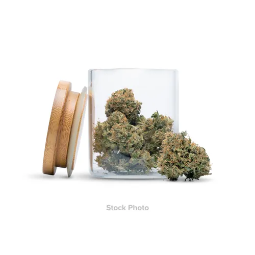 Leaf & Vine - King Dosi 1/8th