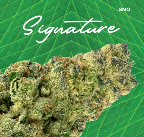 Signature  Gmo - 
