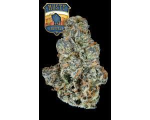 Musty Buffalo Eighth - 