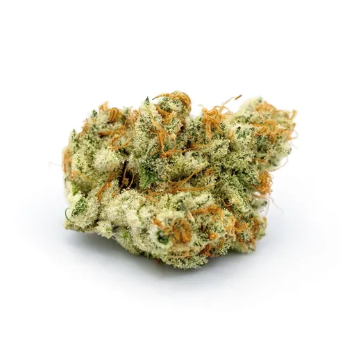 Frosty Shack Flower from  product image