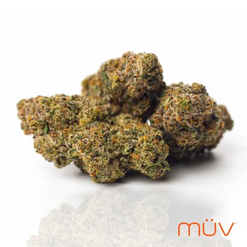  from  product image
