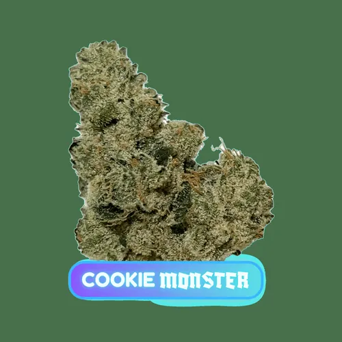Cookie Monster Flower - 