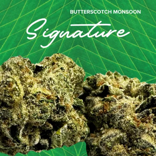 Signature  Butterscotch Monsoon - 