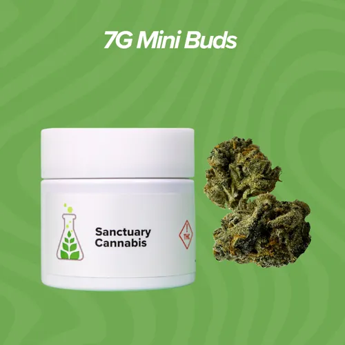 Moonraker Mini Buds - 7g by Sanctuary Medicinals - 7.000g Smalls