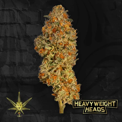 Orangutan x Reaper from  product image