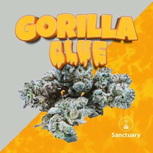 Sanctuary Naturals Gorilla Glue | 3.5g