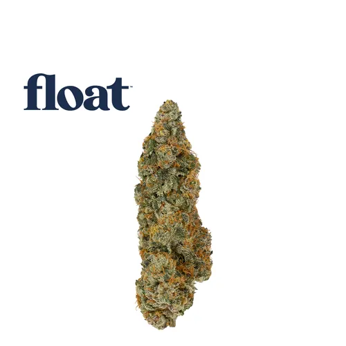 Grape Sunday - Flower - 3.5g from  product image