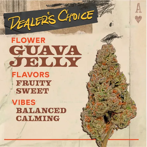 Guava Jelly - 3.5g Flower from  product image