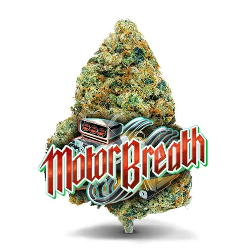 image of Motor Breath - Premium Flower