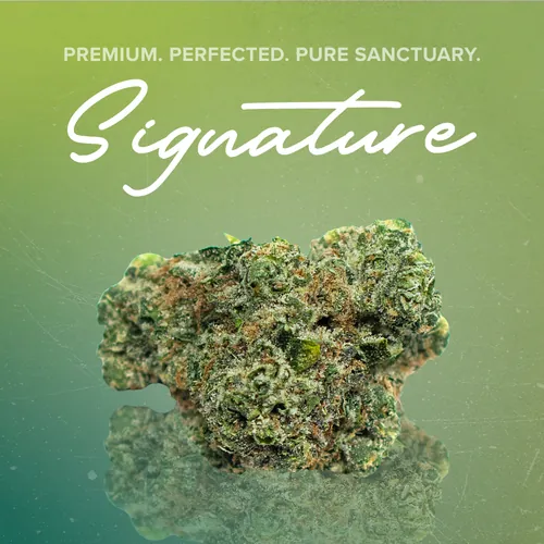 Don Mega Signature - 3.5g from  product image