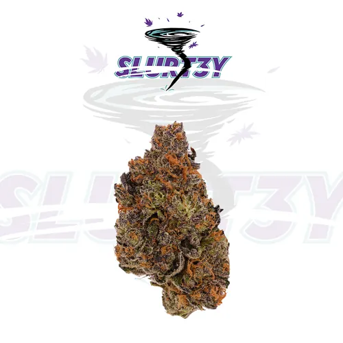Slurt3y Tier 2 - 