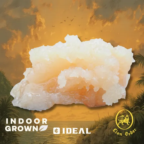 Star Island 43 by Ideal Cannabis - 1.000g Badder