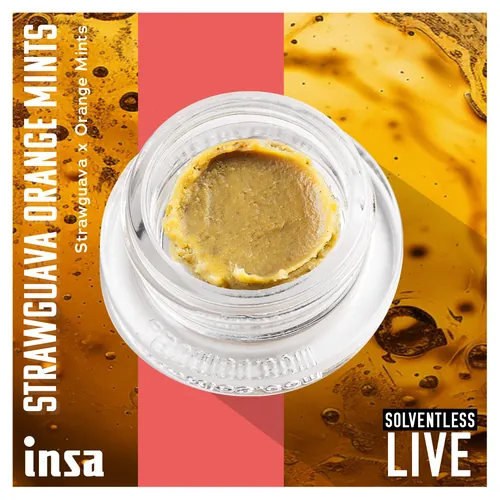 Live Rosin Magma - Strawguava Orange Mints from  product image