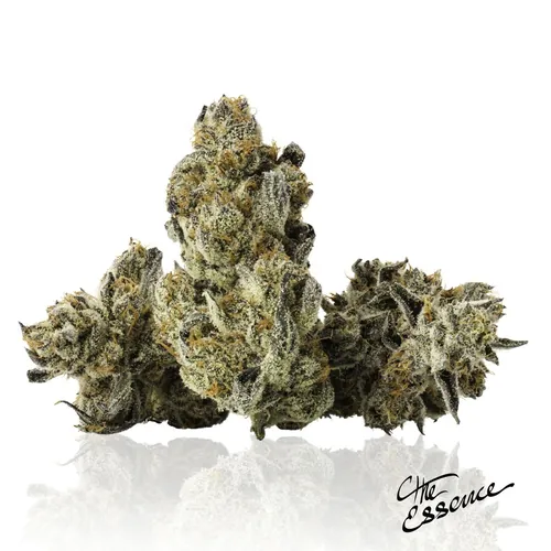 Silver Project from  product image