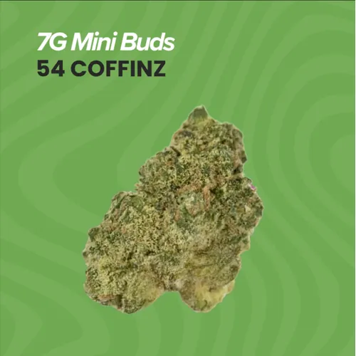 Mini Buds - 54 Coffinz - 