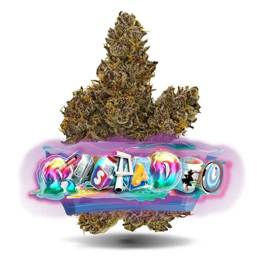 Raspado - Premium Flower by Jungle Boys - 7.000g Smalls