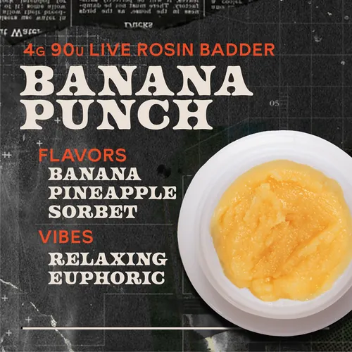 Banana Punch Badder 4g Live Rosin Concentrate by Sunburn - 4.000g Badder