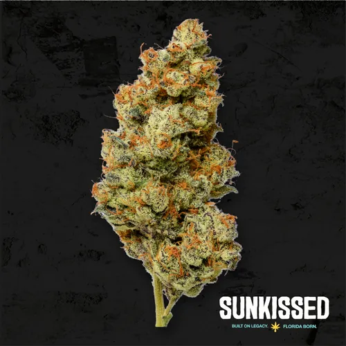 Biscotti x OZ by Sunkissed - 3.500g Whole