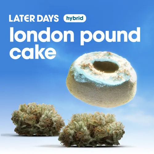 London Pound Cake Flower from  product image