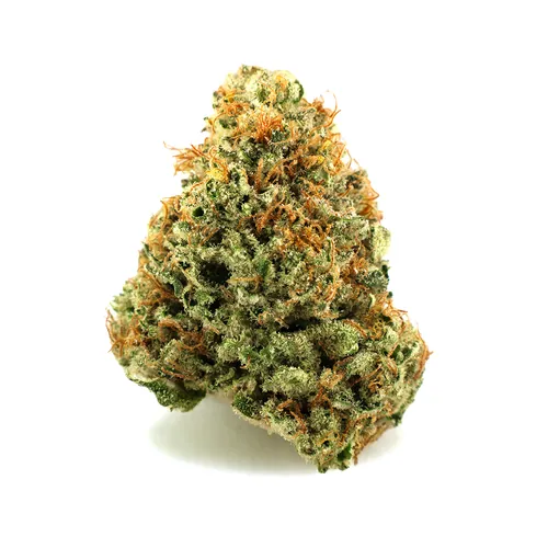 Acapulco Gold   Signature - 