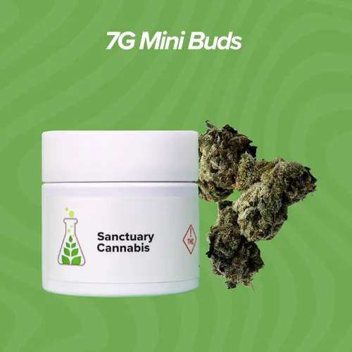 Alien Rock Sour Mini Buds - 7g by Sanctuary Medicinals - 7.000g Smalls