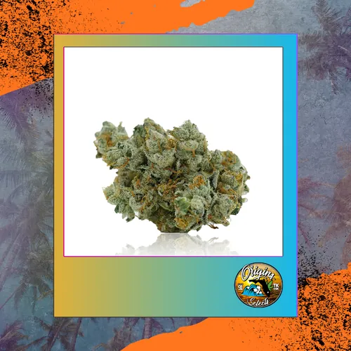 Origins Surfside OG by Freedom Town - 3.500g Whole