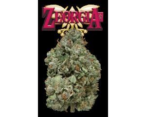 Zeorgia Eighth - 
